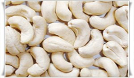 CASHEW PRICES REACH  HIGHEST LEVEL IN A DECADE